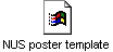 NUS poster template