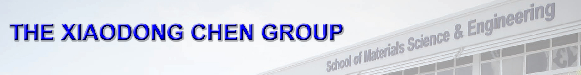 The Xiaodong Chen Group