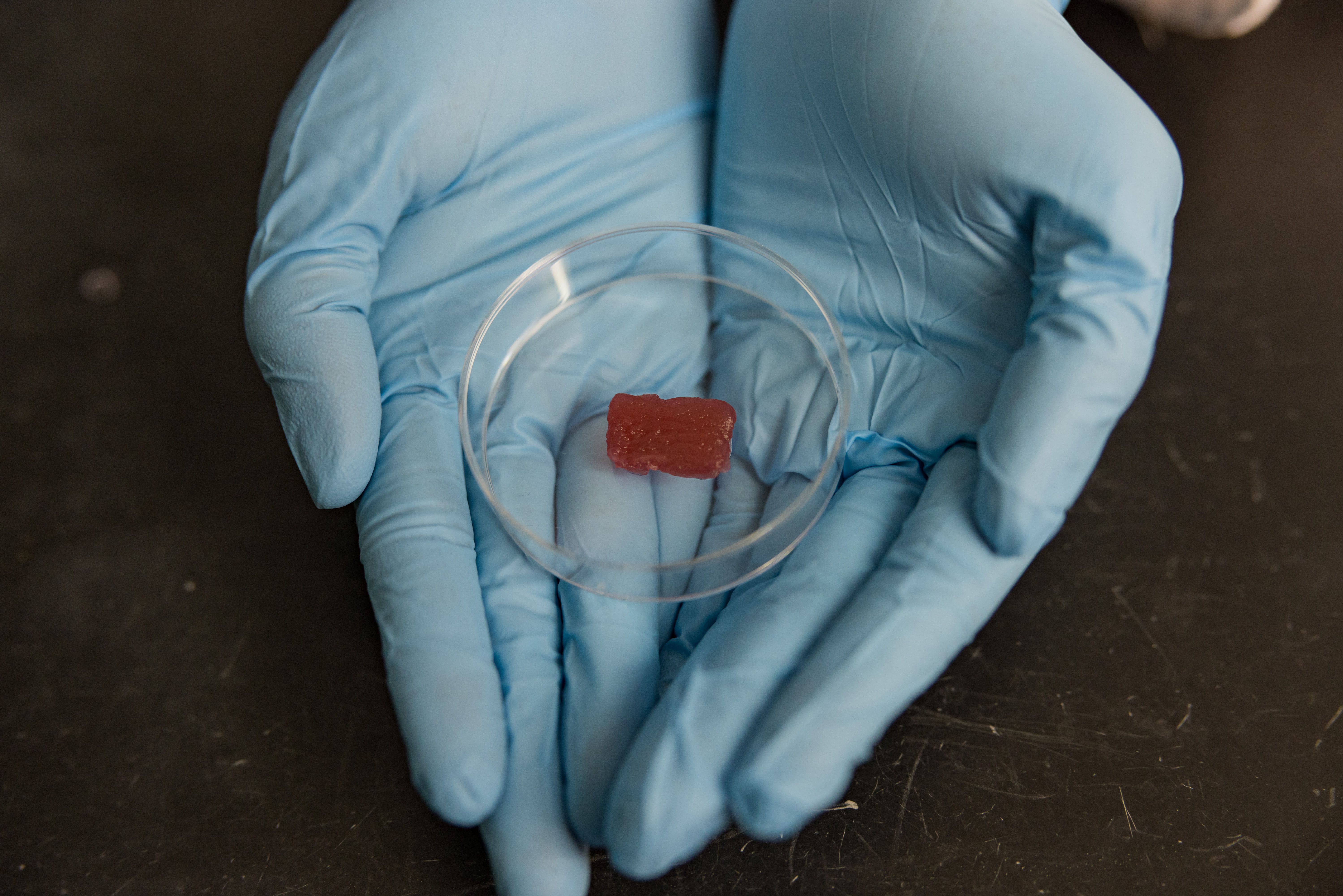 Cultivated meat scaffold on glove