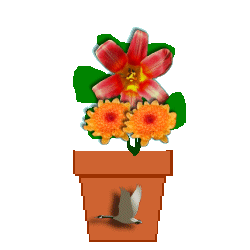 flower-eng.gif (11461 bytes)