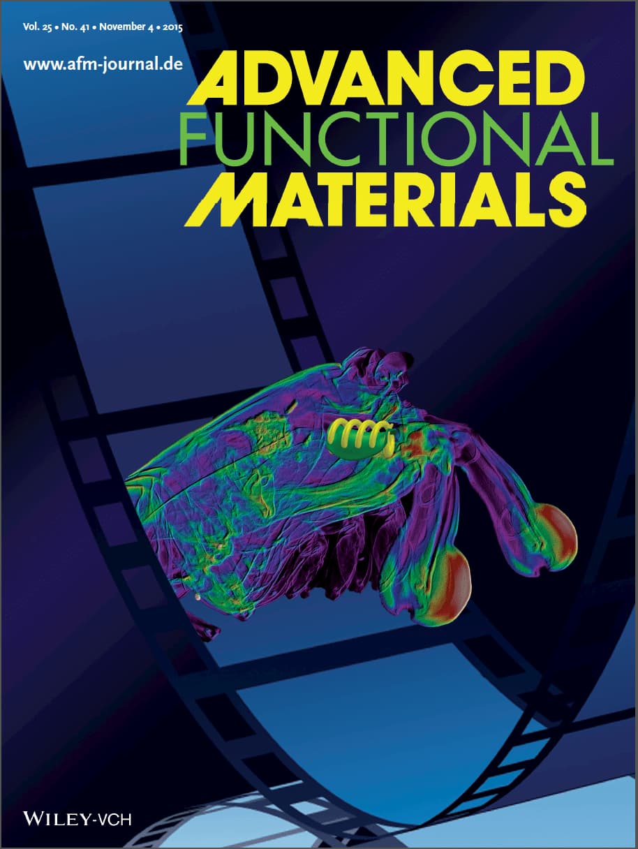 Cover of Advanced Functional Materials