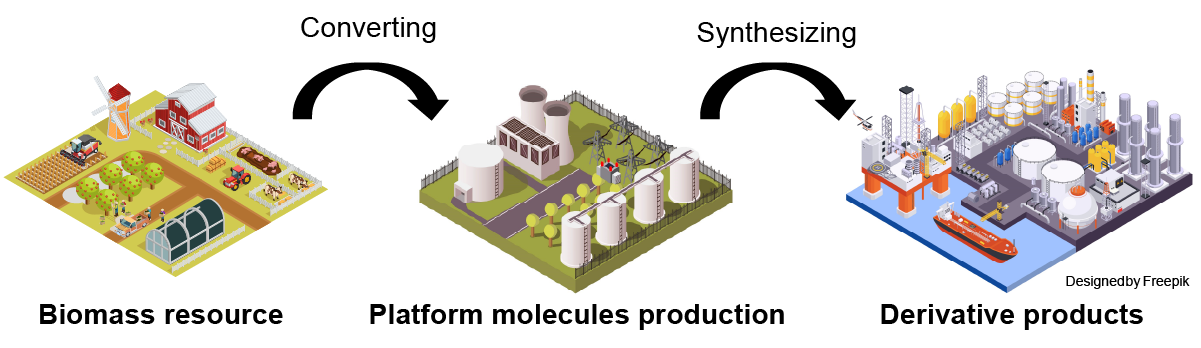 Biomass Conversion