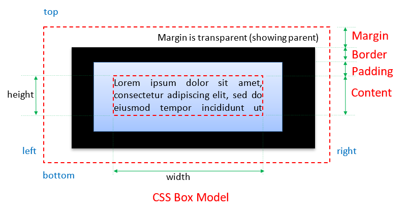 Html And Css Tutorial The Basics