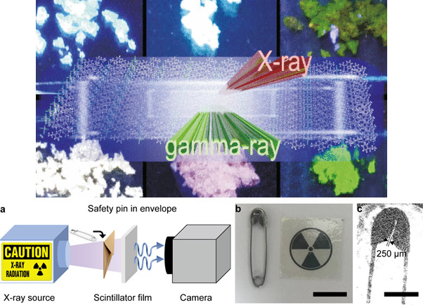 Perovskite Scintillators