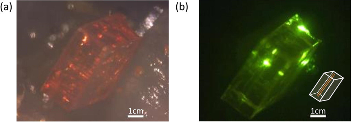 Single Crystal Perovskite LEDs and Electroluminescence