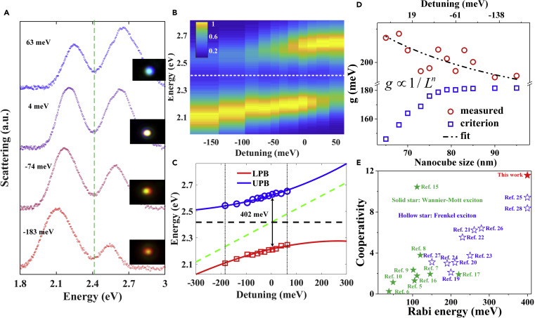 Strong-Plasmon-Wannier-Mott-Exciton-Interaction