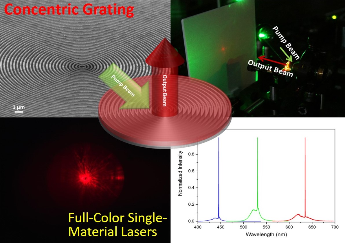 The Cicular QD Distributed Feedback Laser