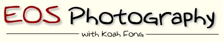 photography banner