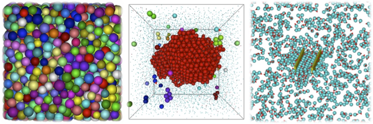 Simulation figures illustrating the dynamics and assembly of active particles.