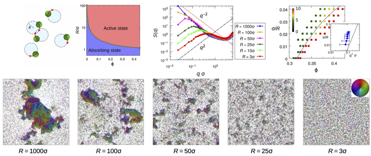 Figures showing local density fluctuations and large-scale hyperuniformity in a driven particle fluid.