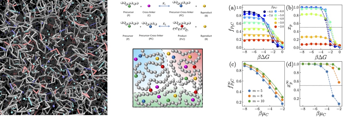 Schematic and simulation figures illustrating linker-mediated polymer crosslinking.