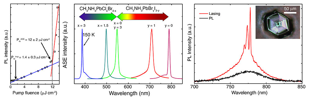 Tailoring the lasing modes in semiconductor nanowire cavities using intrinsic self-absorption