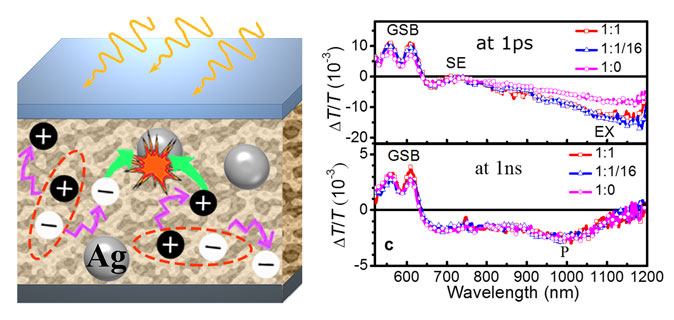 Uncovering Loss Mechanisms in Silver Nanoparticle-Blended Plasmonic Organic Solar Cells